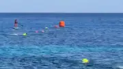 Panik vor Mexikos Ferieninsel: Krokodil schwimmt auf Kinder zu