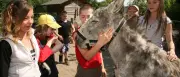 Pankow gibt Kinderbauernhof Pinke-Panke an das Land Berlin ab
