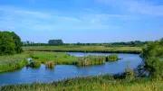 Peene: Der „Amazonas des Nordens“ – perfekt für Paddelwandern