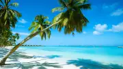 Perfekter Urlaub: Checklisten, Reiseziele & Tipps für stressfreie Planung