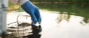 PFAS: So bedrohlich wie der Klimawandel, warnt Investigativ-Journalistin