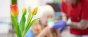 Pflegereform: Heimbewohner und Kinderlose müssen mehr zahlen