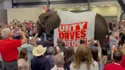 Pinkel-Panne beim Republikaner-Parteitag in Texas: Elefant sorgt für Lacher