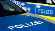 Polizei rettet acht Entenküken von Bundesstraße in der Oberpfalz