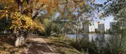 Potsdam bewirbt sich für Hitzeschutz-Projekte: Millionen-Förderung möglich