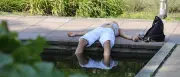 Potsdam vor Hitzerekord: 40 Grad und mehr – Region im Ausnahmezustand