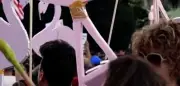 Proteste gegen Kushner-Projekt in Albanien: Flamingos als Symbol