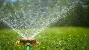 Rasen richtig bewässern: Experten-Tipps für Hitzewellen im Sommer