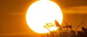 Schafskälte in Deutschland: Steht ein kalter Sommer bevor?