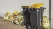 Schneiders Aktionsprogramm: Deutschland setzt auf Recycling