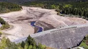 Schwarzenbach-Talsperre: Fast fünf Tonnen Fische umgesiedelt