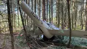 Segelflieger-Crash in Bayern: Beide Piloten überleben
