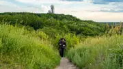 Sonnenuntergangswanderung im Grunewald: Vom Teufelsberg zum Drachenberg