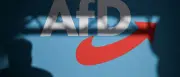 SPD-Fraktion sieht Rückenwind für AfD-Verbotsantrag nach Gutachten