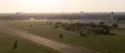 SPD-Kandidatin: Keine Bebauung am Tempelhofer Feld als Koalitionsbedingung