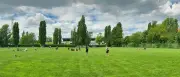 Streit um Jahn-Sportpark: Initiative fordert Stopp der Kunstrasen-Pläne