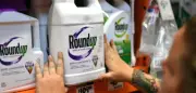 Supreme Court stärkt Bayer im Glyphosat-Streit – Aktie steigt um 17 Prozent