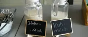 Tag der Milch: Kuh oder Pflanze? Sieben Milchmythen im Faktencheck