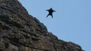 Tödlicher Wingsuit-Unfall: Deutscher stürzt in Schweizer Alpen ab