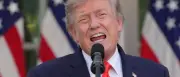 Trump droht EU mit 100-Prozent-Zöllen wegen Digitalsteuer