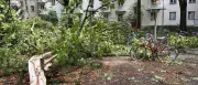 Unwetter in Berlin: 160 Feuerwehreinsätze und Event-Ausfälle