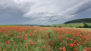 Unwetter in Hessen: Blitze, Donner, Starkregen und Hagel möglich