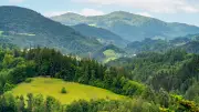 Vermisster Biker (53) tot im Schwarzwald nach zehntägiger Suche gefunden