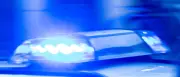 Viehtransporte nach Rinder-Diebstählen: Polizei kontrolliert verstärkt