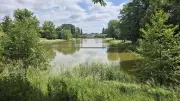 Volkspark Mariendorf: Sanierung nach Everglades-Vorbild gestartet