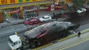 Wal-Kadaver-Explosion in Taiwan: Blut und Gedärme auf der Straße