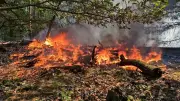 Waldbrand bei Ferch: Feuerwehr kämpft bei 36 Grad gegen die Flammen