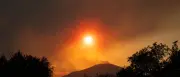 Waldbrand in Utah: Feuer auf 12.500 Hektar ausgeweitet – Evakuierungen