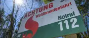 Waldbrandgefahr in Brandenburg sinkt nach Wochenendbränden