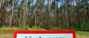Waldbrandgefahr in Brandenburg steigt auf höchste Stufe 5
