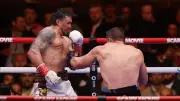 WBC zwingt Usyk: Kabayel darf auf WM-Kampf hoffen