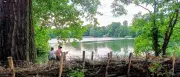 Weißer See: Hecke stoppt Wildbaden? Erste Bilanz der Ufer-Sperrung