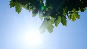 Wetter in Berlin und Brandenburg: Bis zu 34 Grad zur Wochenmitte