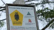 Wildcampen in MV: Von selten bis regelmäßig – Bußgelder drohen