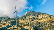 Windrad tötet mehr Vögel als alle anderen: Forscher verblüfft