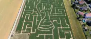 WM-Pokal aus Mais: Labyrinth in Südbaden eröffnet