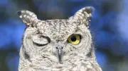 Wochenend-Newsletter: Die Krux mit der inneren Uhr und mehr