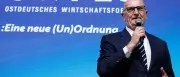 Woidke besorgt vor AfD-Regierungsbeteiligung in Sachsen-Anhalt