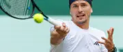 Zverev besiegt Hanfmann und steht im Viertelfinale von Halle