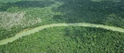 Amazonas: Waldbrände 2025 so niedrig wie seit 40 Jahren nicht