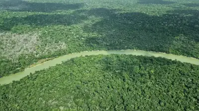 Amazonas: Weniger Waldbrände seit 40 Jahren – Regen sorgt für Entspannung
