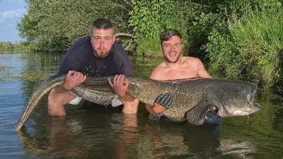 Angler fangen 2,30-Meter-Wels mit ganzem Huhn im Maul