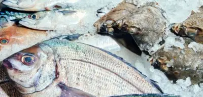 Artikel nicht verfügbar: Zugriffslimit oder Ablauf
