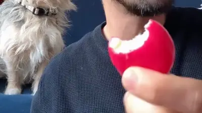 Babybel-Gate: Mann isst Käse mit Wachs – Video geht viral