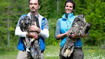 Bartgeier Zierli fliegt erstmals – Alosa findet nach Hause