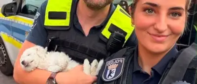 Berlin: Kind schleudert Hundewelpen wie Puppe durch die Luft – Polizei ermittelt